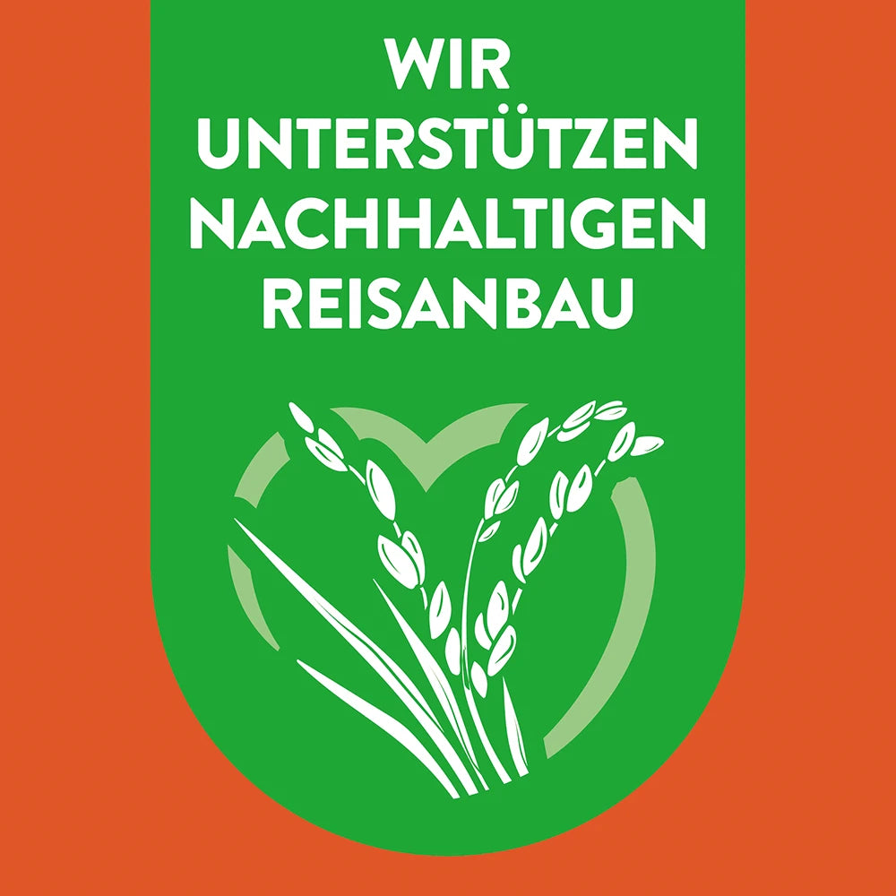 Ben's Original Langkorn-Reis 20 Min im Kochbeutel